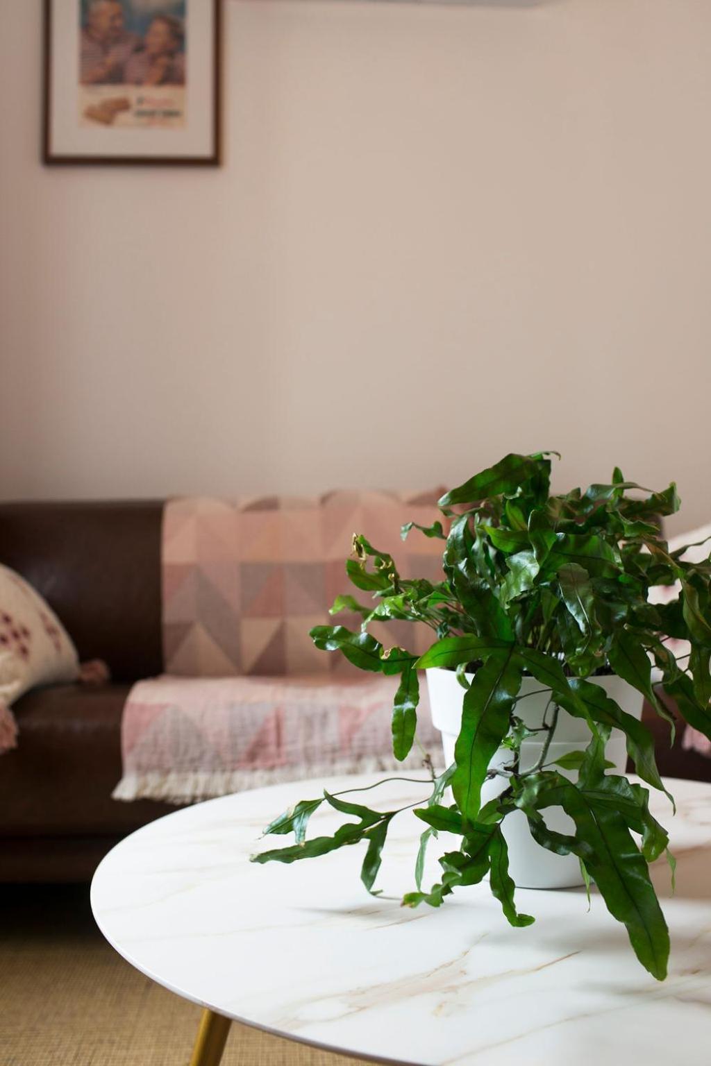William Arnott Boutique Accommodation Morpeth Номер фото